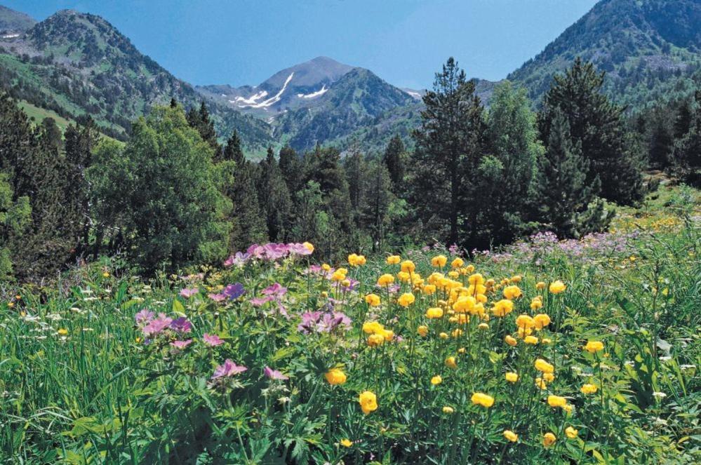 Hotel Xalet Verdu Arinsal Zewnętrze zdjęcie